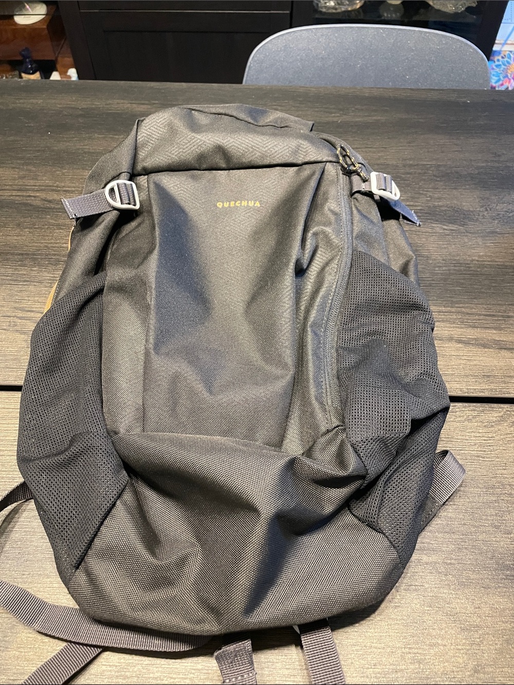 Quechua Black Men's Daypack with Mesh Side Pockets
